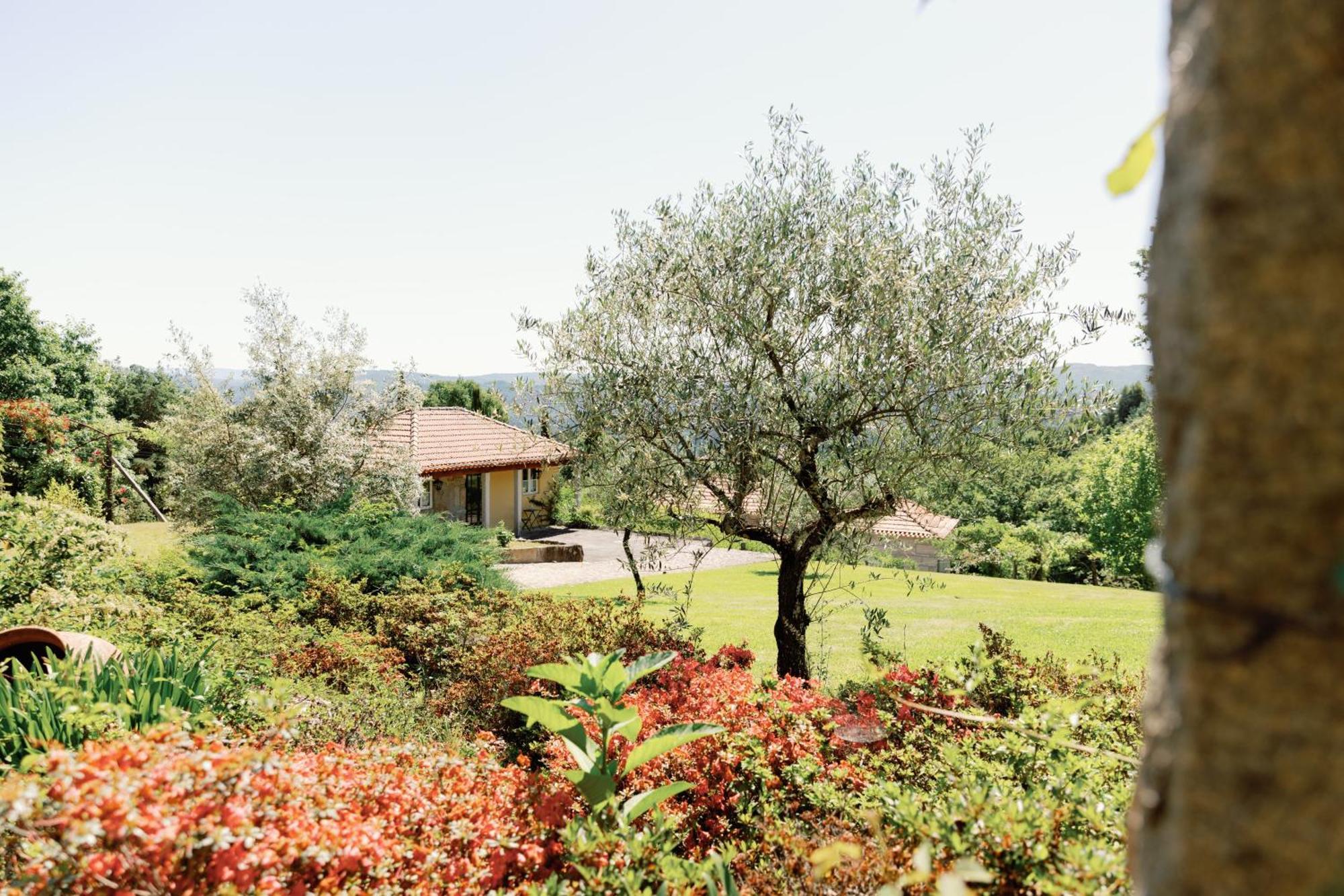 The Fox House - Private Villa & Nature Sao Pedro do Sul Exterior photo